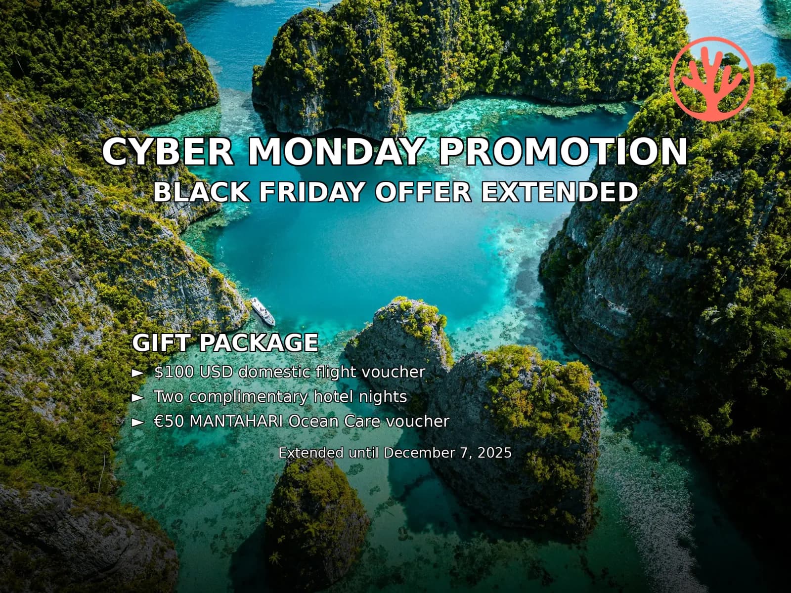 Cyber Monday Promo